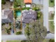 PL 1, 54 Rhonda Avenue, Willetton WA 6155