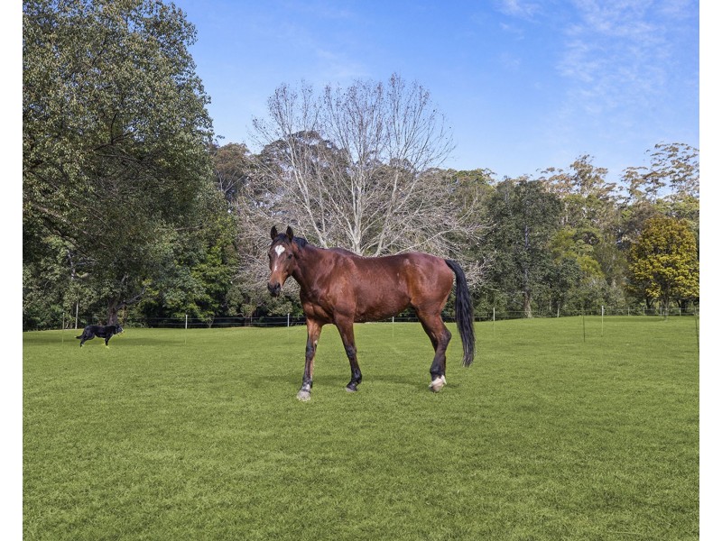 191 Braford Drive, Bonville NSW 2441