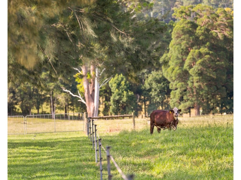 246 Crossmaglen Road, Bonville NSW 2441