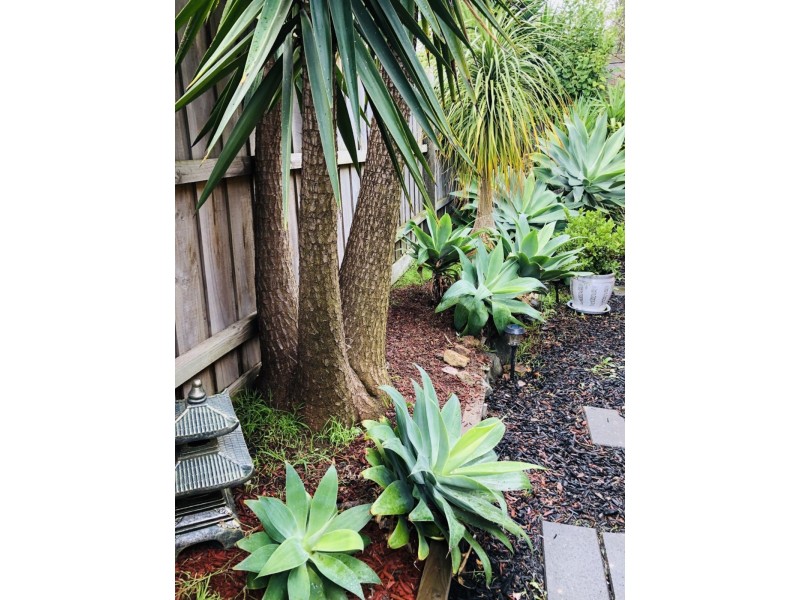 12 Leisurewood Drive, Berwick VIC 3806