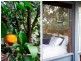 103 Seebeck Road, Rowville VIC 3178