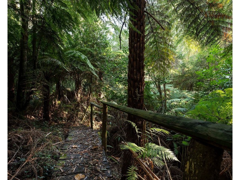 10 Goodwood Street, Noojee VIC 3833