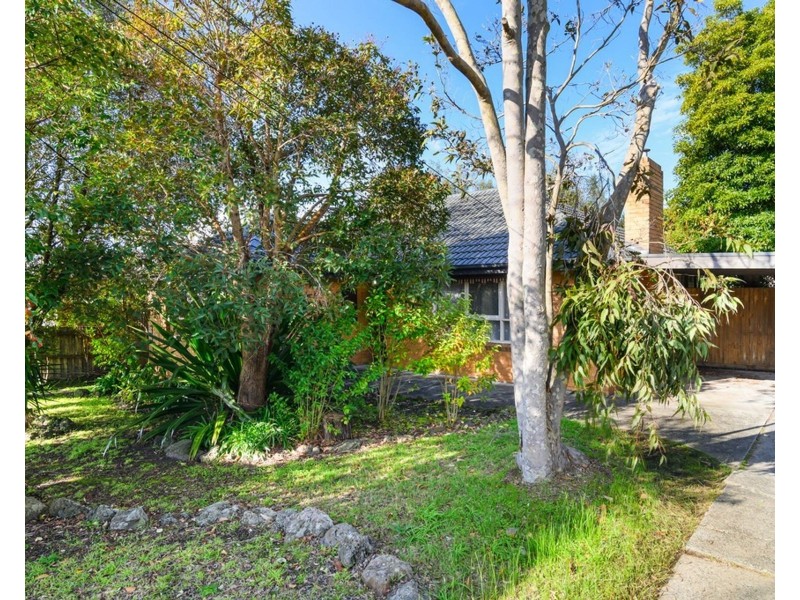 36 Cosgrove Street, Vermont VIC 3133