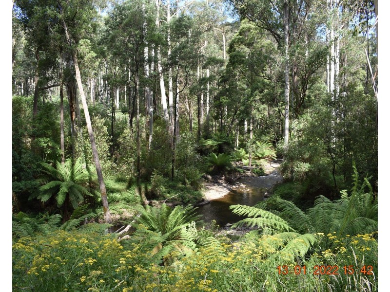 114 Duggan North Road, Fumina VIC 3825