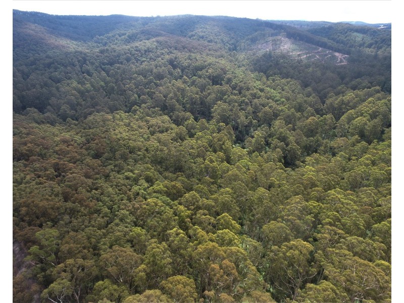 114 Duggan North Road, Fumina VIC 3825