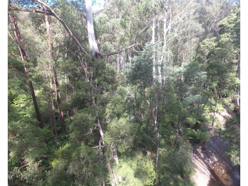 114 Duggan North Road, Fumina VIC 3825