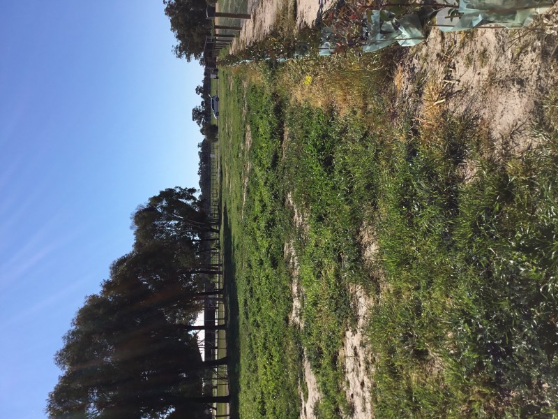 27 NORTH STREET, Tallygaroopna VIC 3634