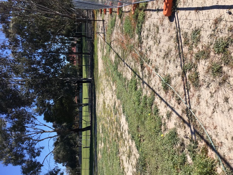 27 NORTH STREET, Tallygaroopna VIC 3634