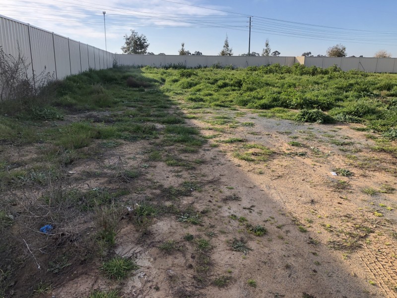 41 Aspendale Crescent, Shepparton VIC 3630