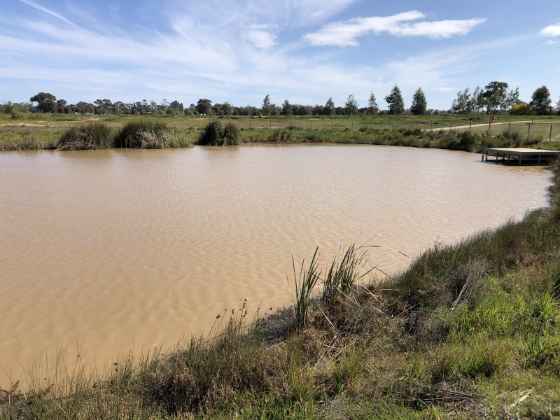 1 MERAN COURT, Kialla VIC 3631