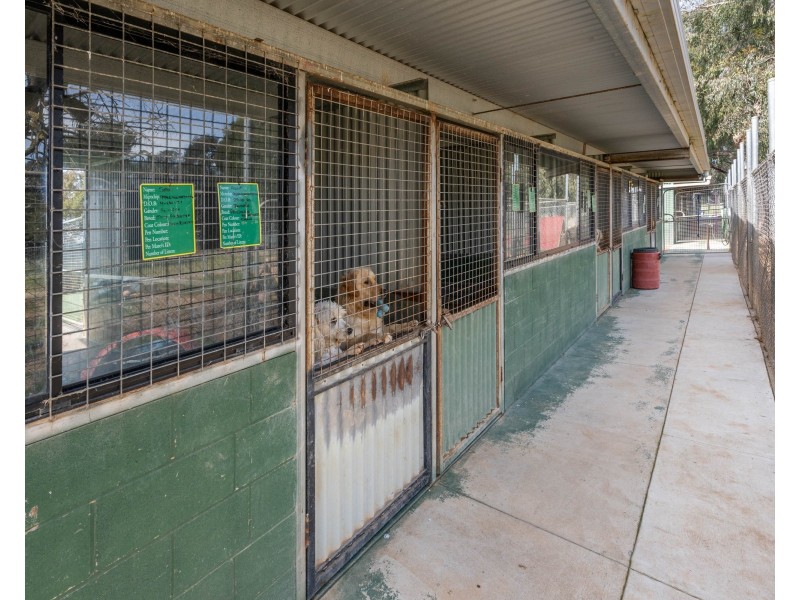 6 Cemetery Road, Cobram East VIC 3644
