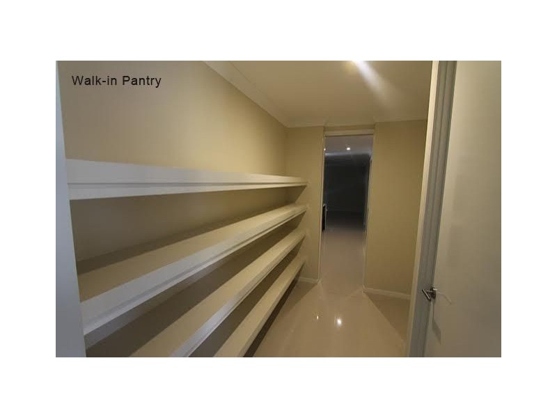 65 Laceflower Parade, Casuarina NSW 2487