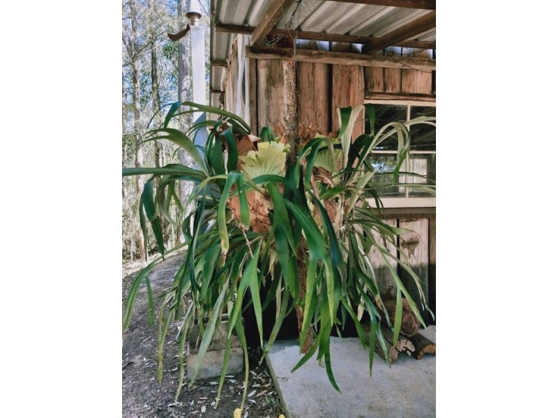 LOT 4 KOSEKAI ROAD, Yarranbella NSW 2447