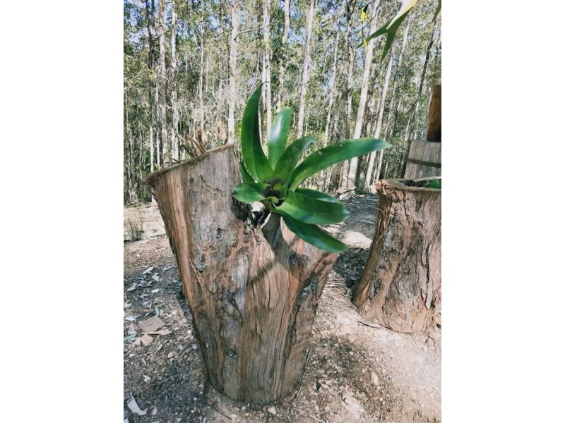 LOT 4 KOSEKAI ROAD, Yarranbella NSW 2447