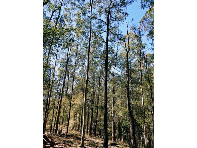 LOT 4 KOSEKAI ROAD, Yarranbella NSW 2447