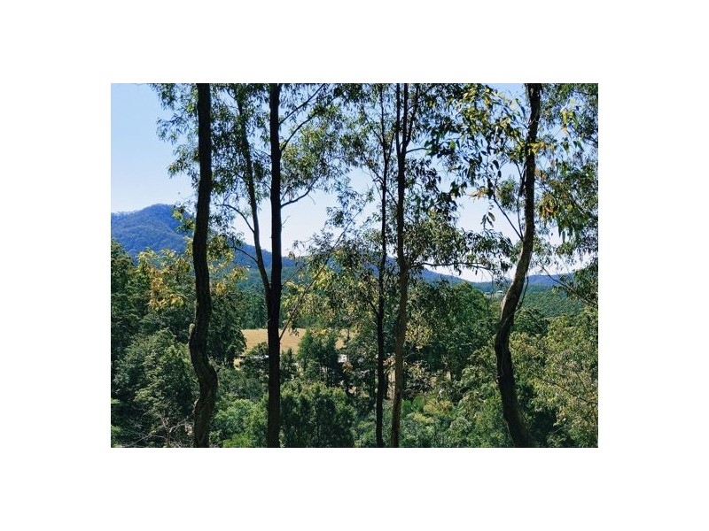 LOT 4 KOSEKAI ROAD, Yarranbella NSW 2447
