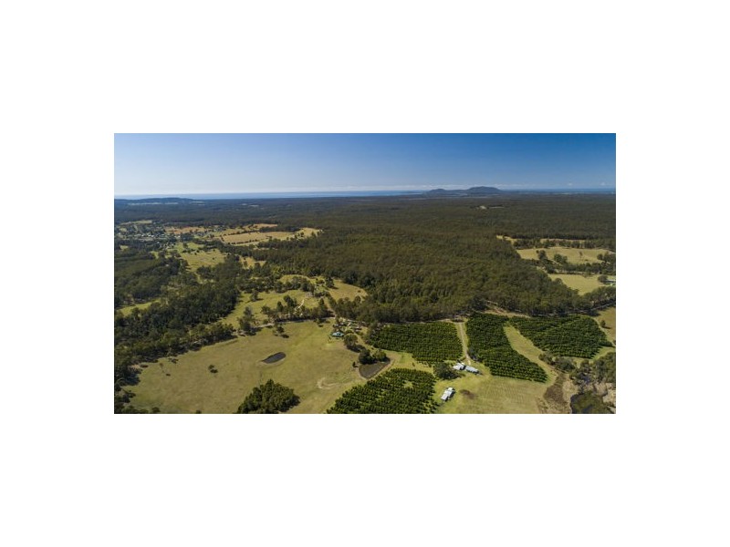 44 Jones Road, Eungai Rail NSW 2441