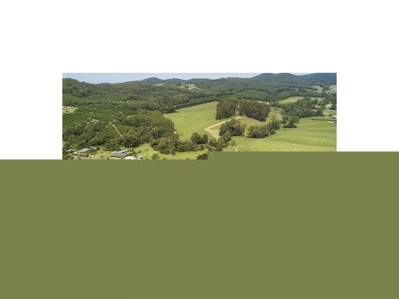 41 Albert Drive, Donnellyville NSW 2447