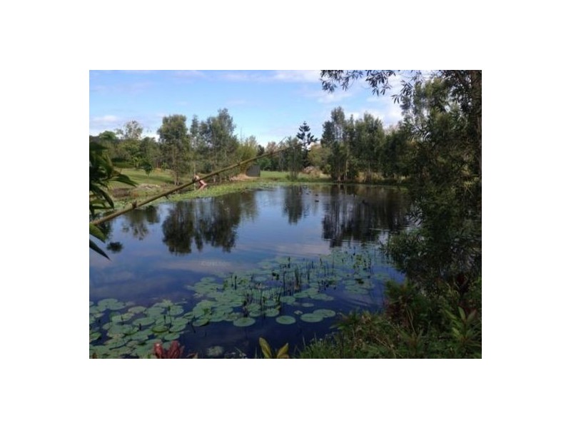 17 Landy drive, Way Way NSW 2447