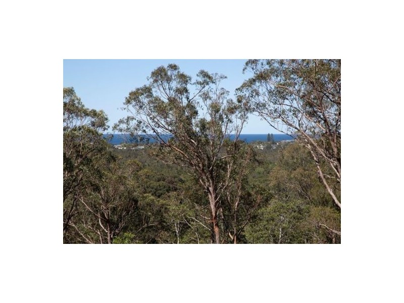 937A SCOTTS HEAD ROAD, Way Way NSW 2447