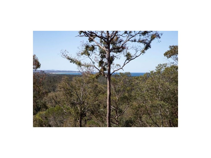 937A SCOTTS HEAD ROAD, Way Way NSW 2447