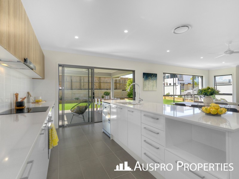 17 Biryani Place, Calamvale QLD 4116