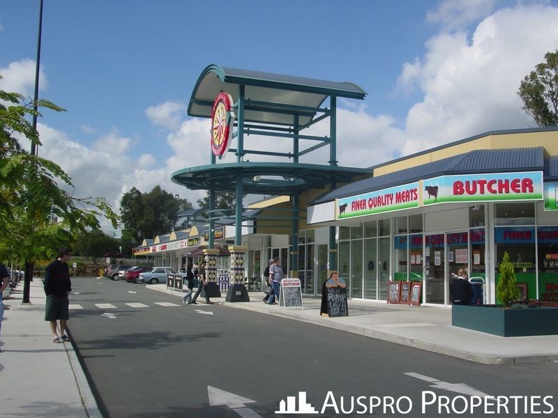 17 Biryani Place, Calamvale QLD 4116