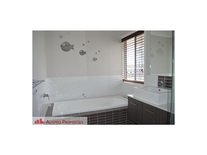 37 Parkgrove St, Birkdale QLD 4159