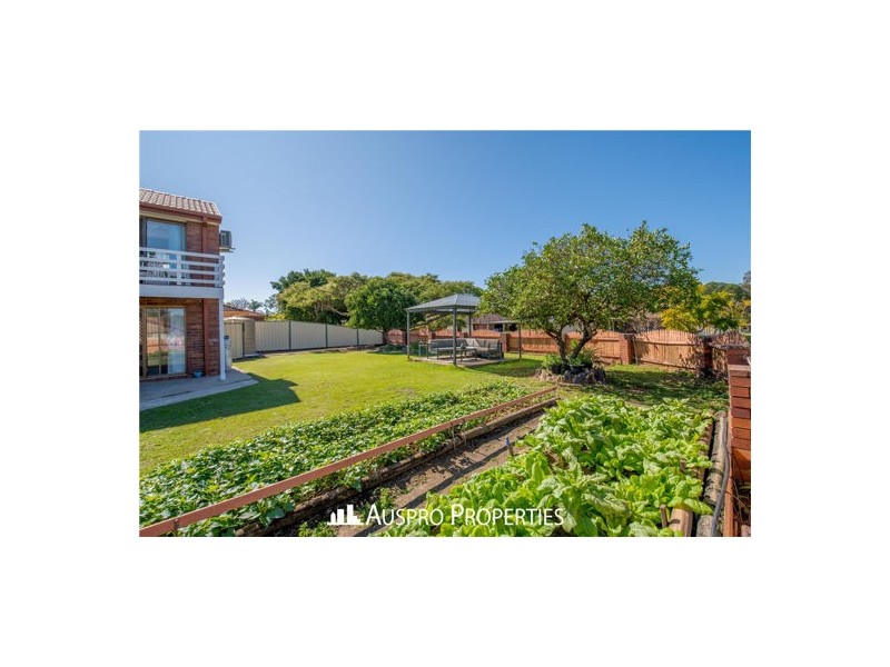 12 Tapioca St, Eight Mile Plains QLD 4113