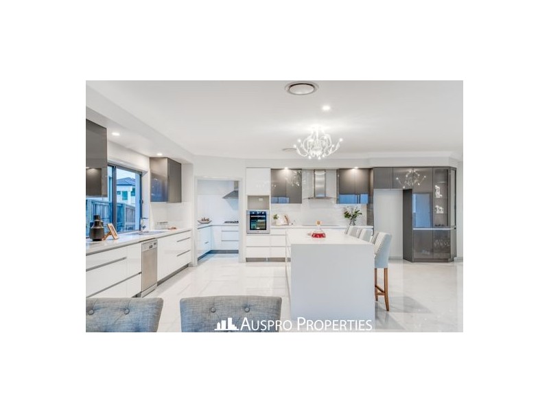 36 Hawthorn Circuit, Stretton QLD 4116