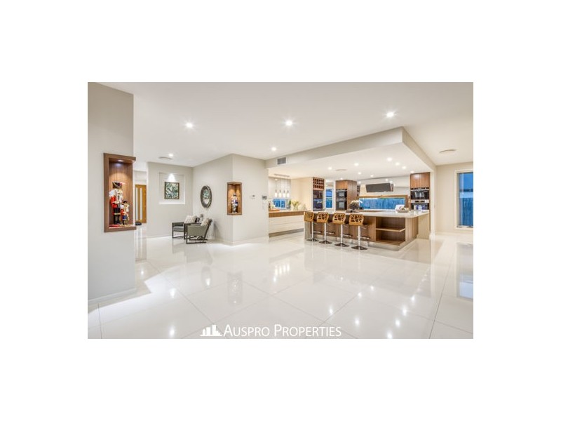156 Hawthorn Circuit, Stretton QLD 4116