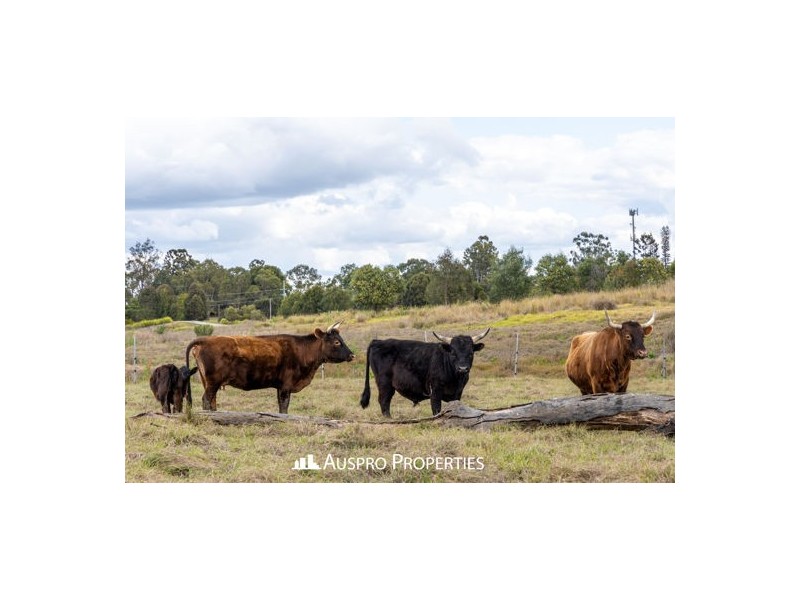34-48 Moloney Rd, Loganlea QLD 4131