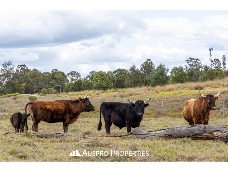 34-48 Moloney Rd, Loganlea QLD 4131