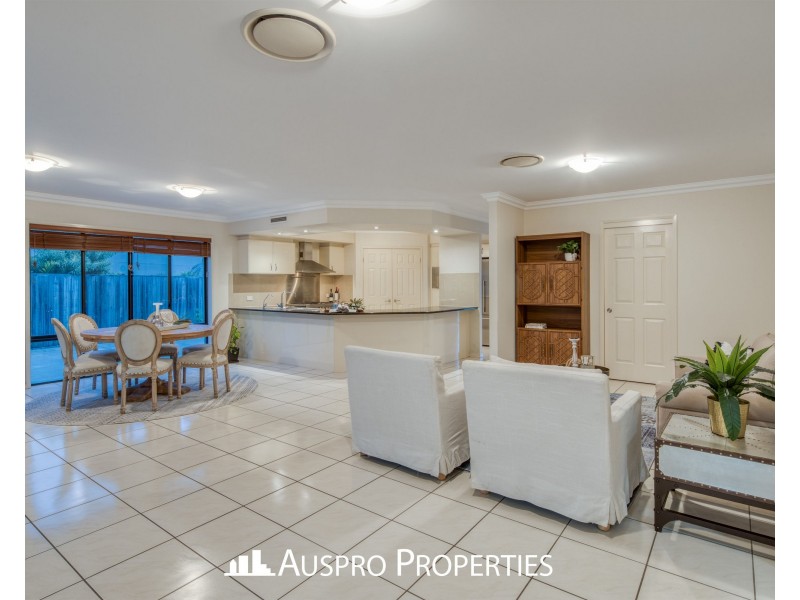 16 Spruce Bark Court, Stretton QLD 4116