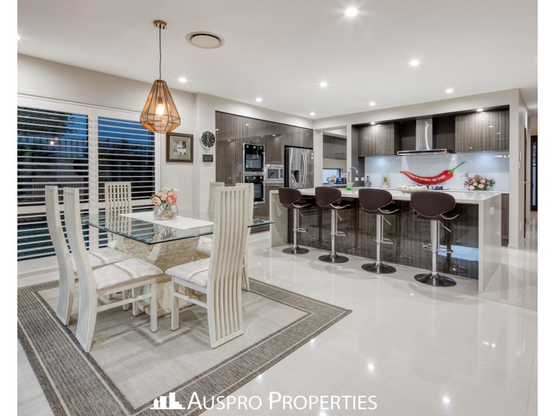 79 Hawthorn Circuit, Stretton QLD 4116