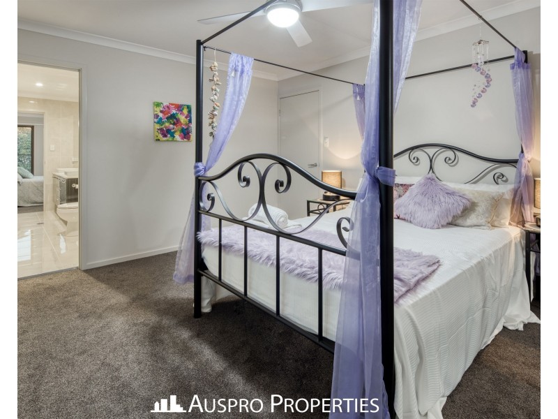 79 Hawthorn Circuit, Stretton QLD 4116