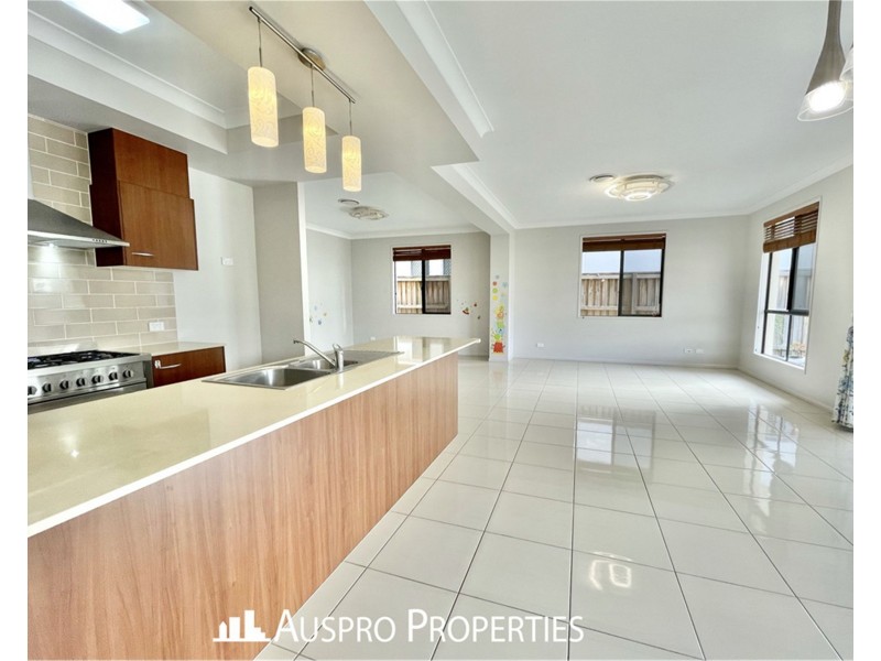 41 Kookaburra Circuit, Rochedale QLD 4123