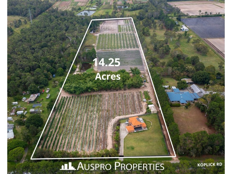 239-249 Koplick Rd, Park Ridge QLD 4125