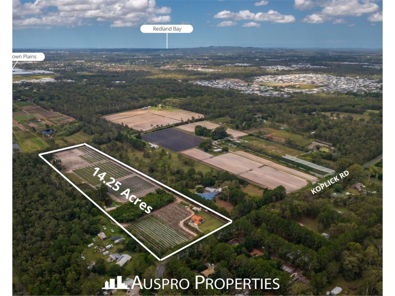 239-249 Koplick Rd, Park Ridge QLD 4125