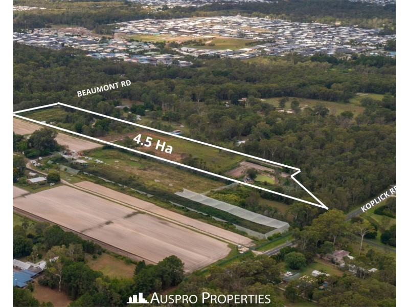204 Beaumont Rd, Park Ridge QLD 4125