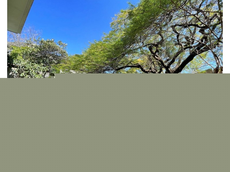 Unit 1 25 Park Rd, Yeronga QLD 4104