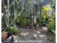 20 Lindenthal Road, Park Ridge QLD 4125