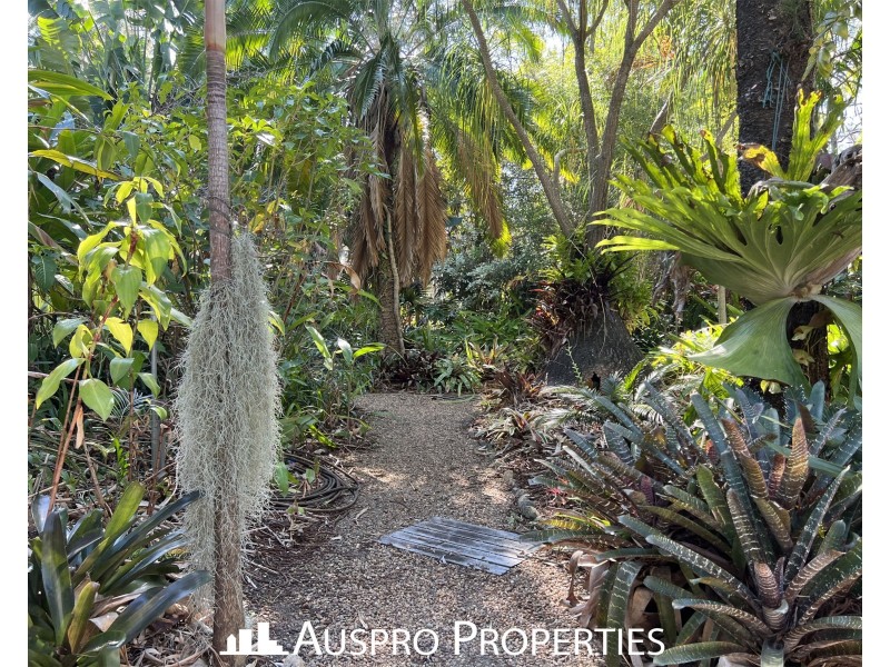 20 Lindenthal Road, Park Ridge QLD 4125