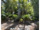 20 Lindenthal Road, Park Ridge QLD 4125