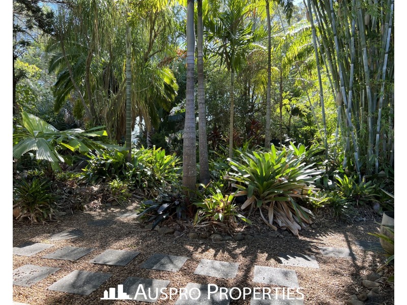 20 Lindenthal Road, Park Ridge QLD 4125