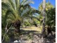 20 Lindenthal Road, Park Ridge QLD 4125