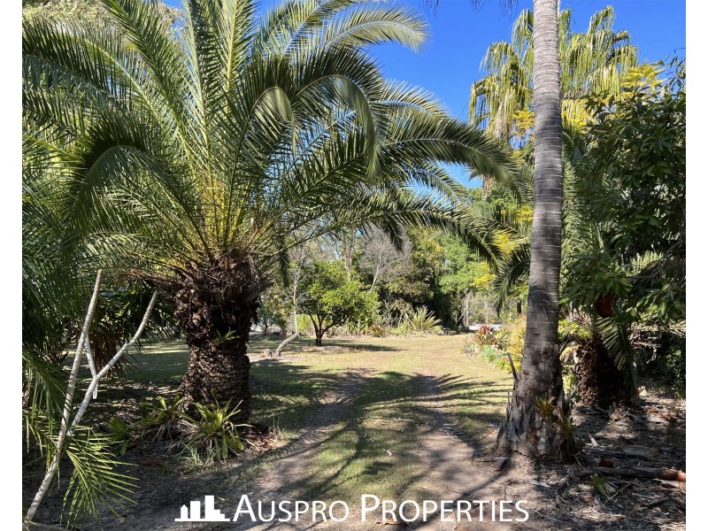 20 Lindenthal Road, Park Ridge QLD 4125