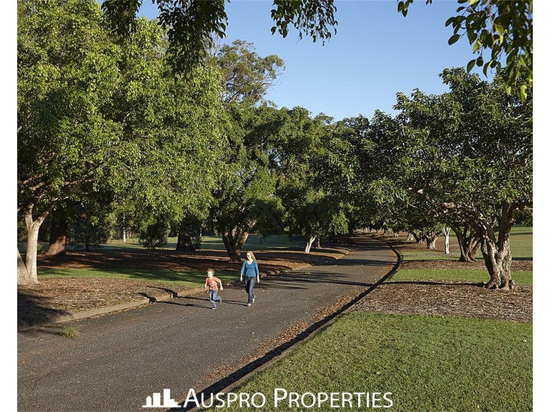 11/25 Park Road, Yeronga QLD 4104
