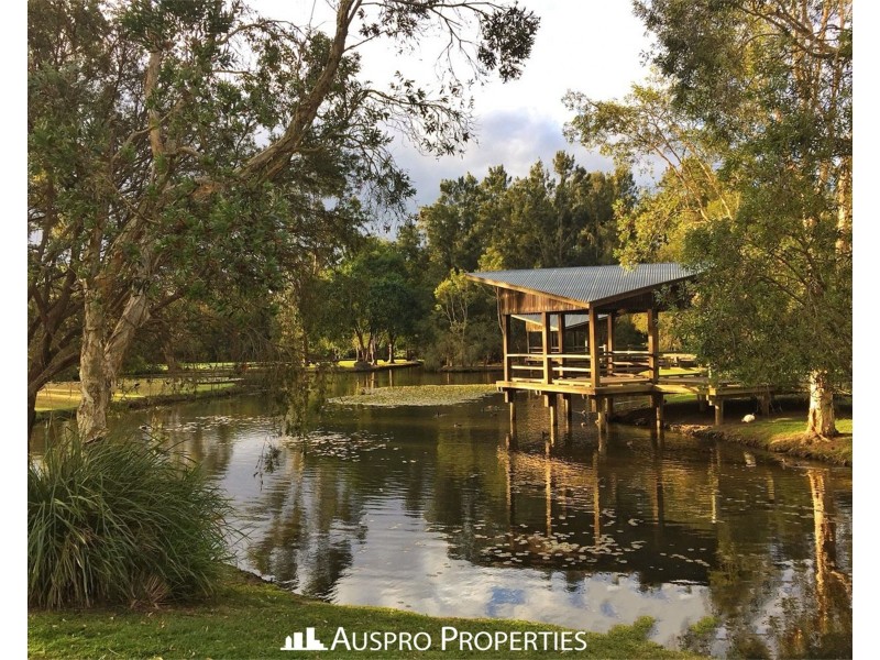 41 Chilton Street, Sunnybank Hills QLD 4109