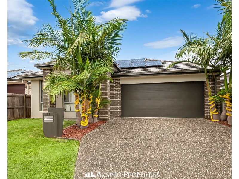 13 Cape Street, Pallara QLD 4110